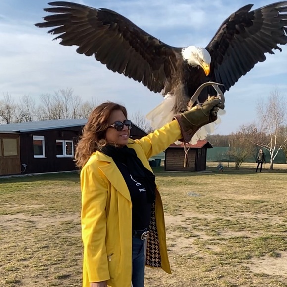 Meet your seller/buyer - Picture 16 of 16